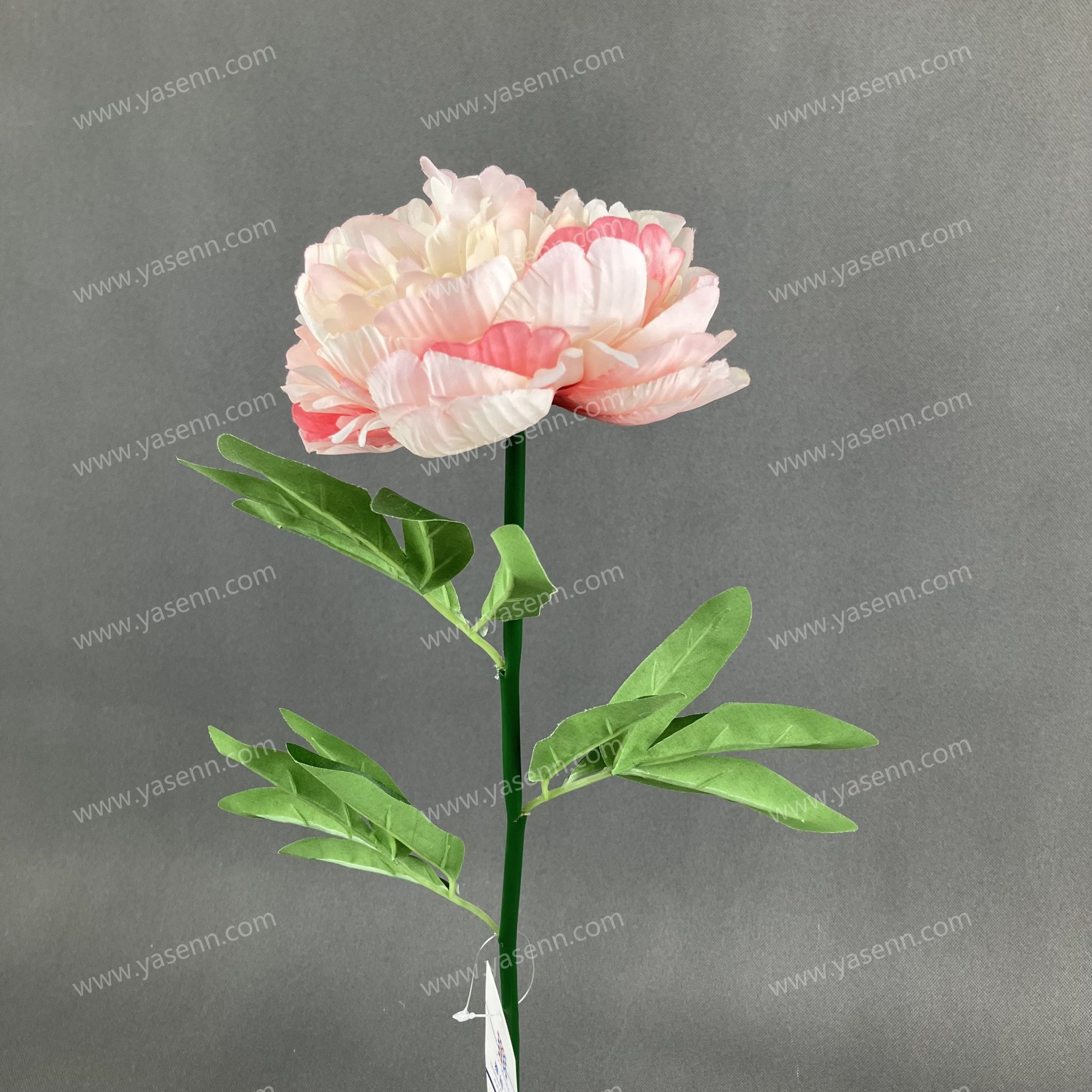 56CM SINGLE PEONY YSS23806