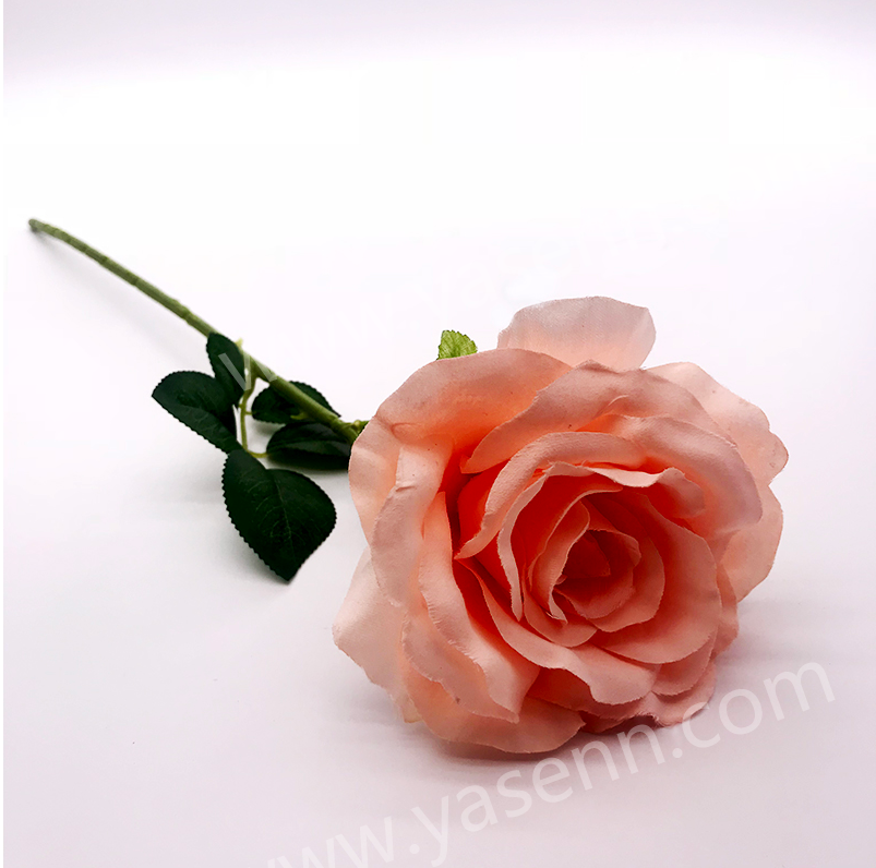 51CM SINGLE ROSE YSZ19093