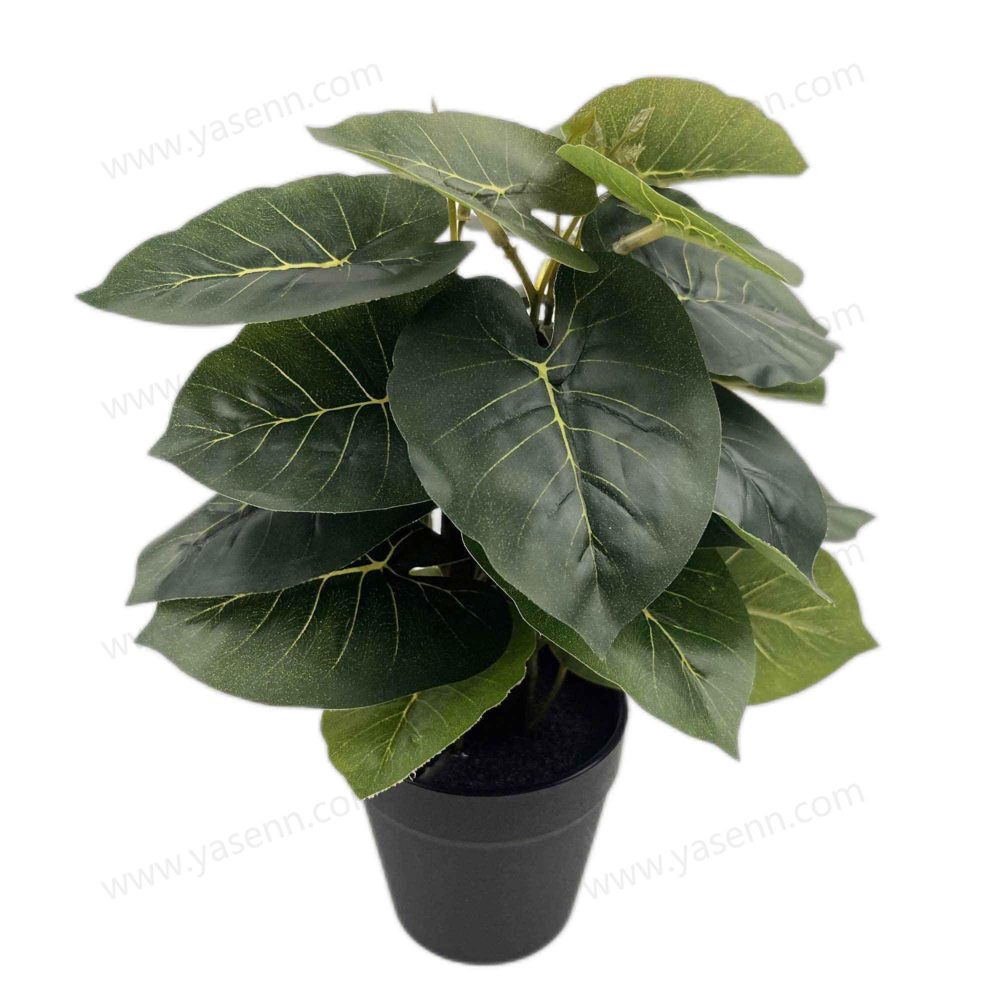 HEIGHT 25CM  24 LEAVES  YSM23052