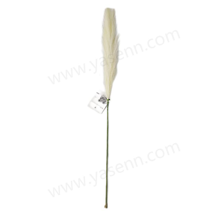 YSS23144  50CM  REED/ artificial plant